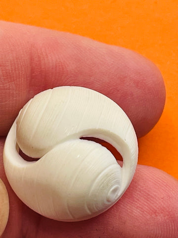 ONE SET ONLY: vintage white plastic shell shape shank buttons 20mm