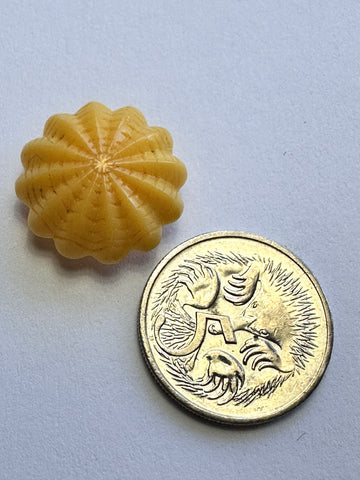 ONE PAIR ONLY: Vintage Buttons 1960s? Early Plastic Flower Star Citrus Yellow Shank 16mm