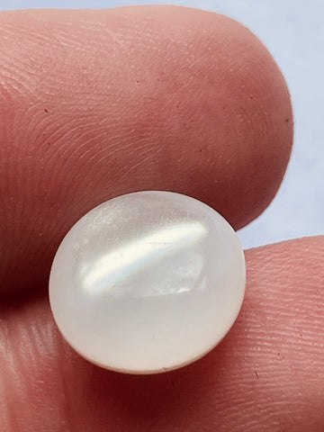TWO SETS LEFT: 12 x Vintage White Lustre Plastic Buttons w/ Shank 11mm